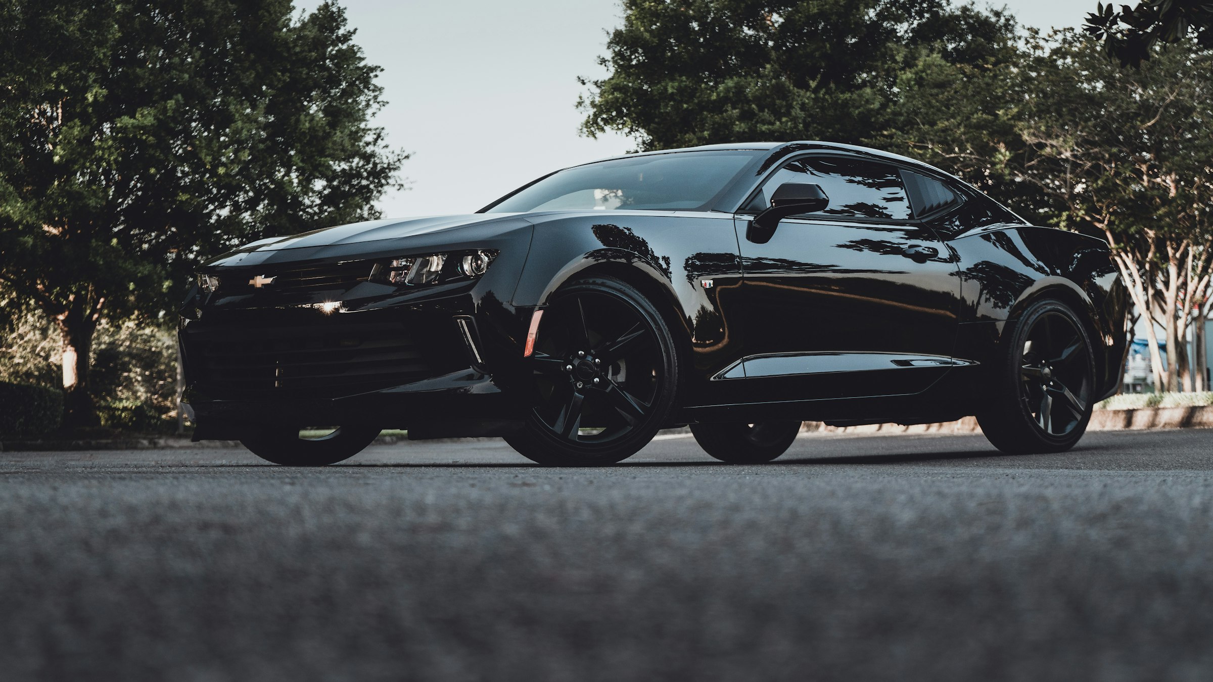 Freshly detailed glossy black luxury sedan